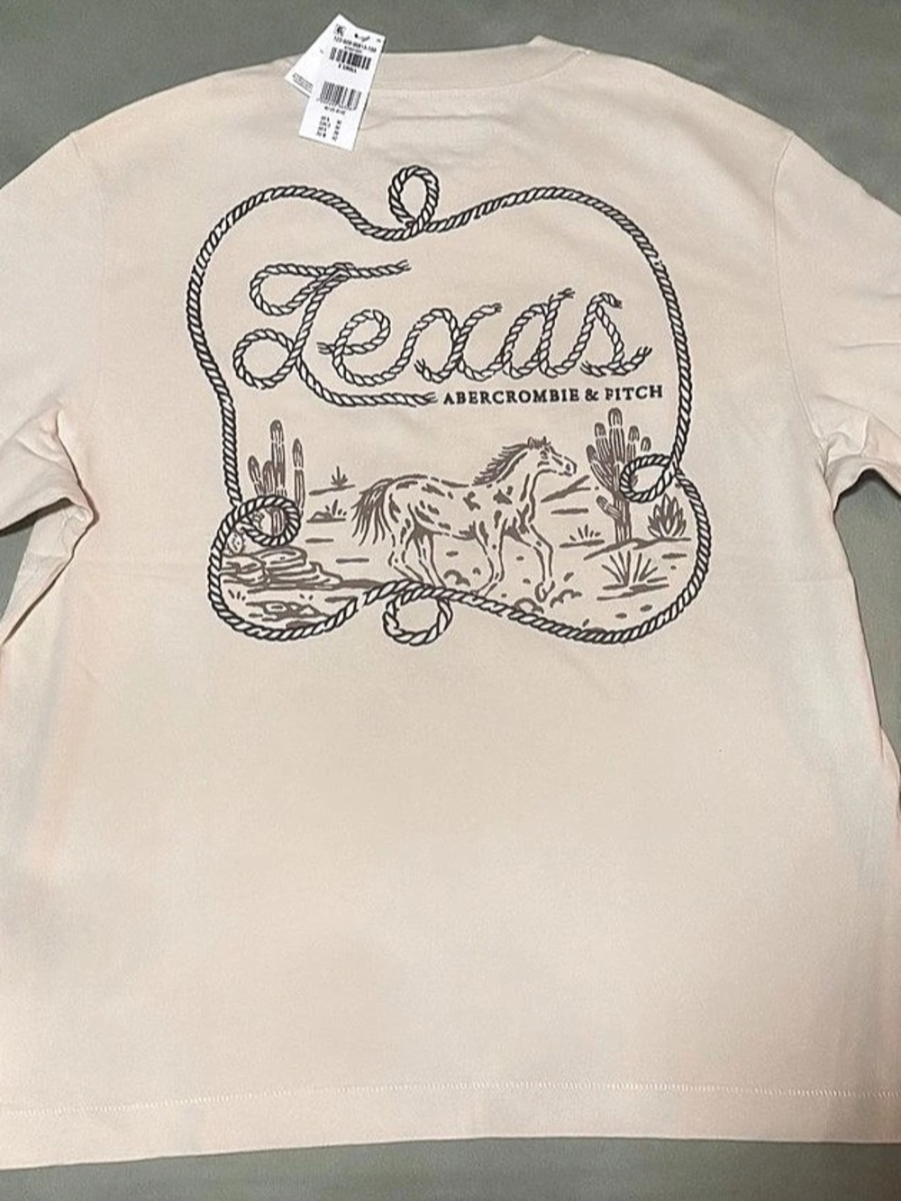Abercrombie & Fitch Premium Heavyweight 2.0 Tee Texas Graphic Pink XS